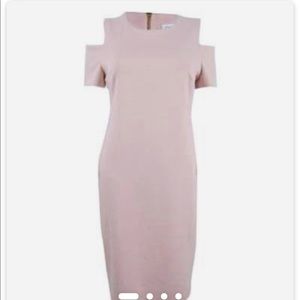 Calvin Klein Sheath Dress
